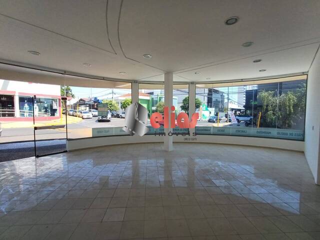 Locação em Vila Aeroporto Bauru - Bauru